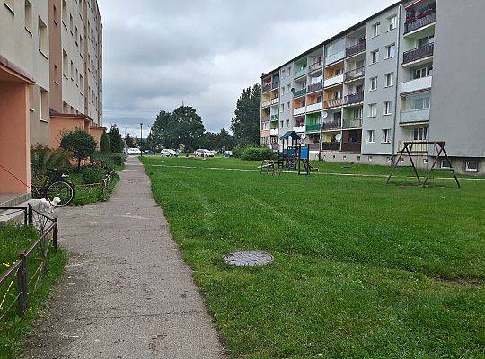 Przebudowa osiedlowej sieci ciepłowniczej przy ul. Emilii Plater#3