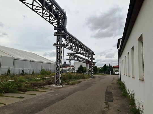 Modernizacja napowietrznej osiedlowej sieci ciepłowniczej przy ul. Krzywoustego (teren dawnego ZWAR-u)#2