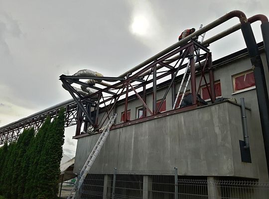 Modernizacja napowietrznej osiedlowej sieci ciepłowniczej przy ul. Krzywoustego (teren dawnego ZWAR-u)#6